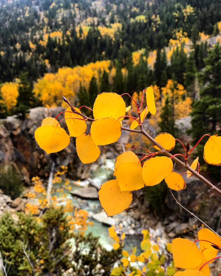 Independence Pass